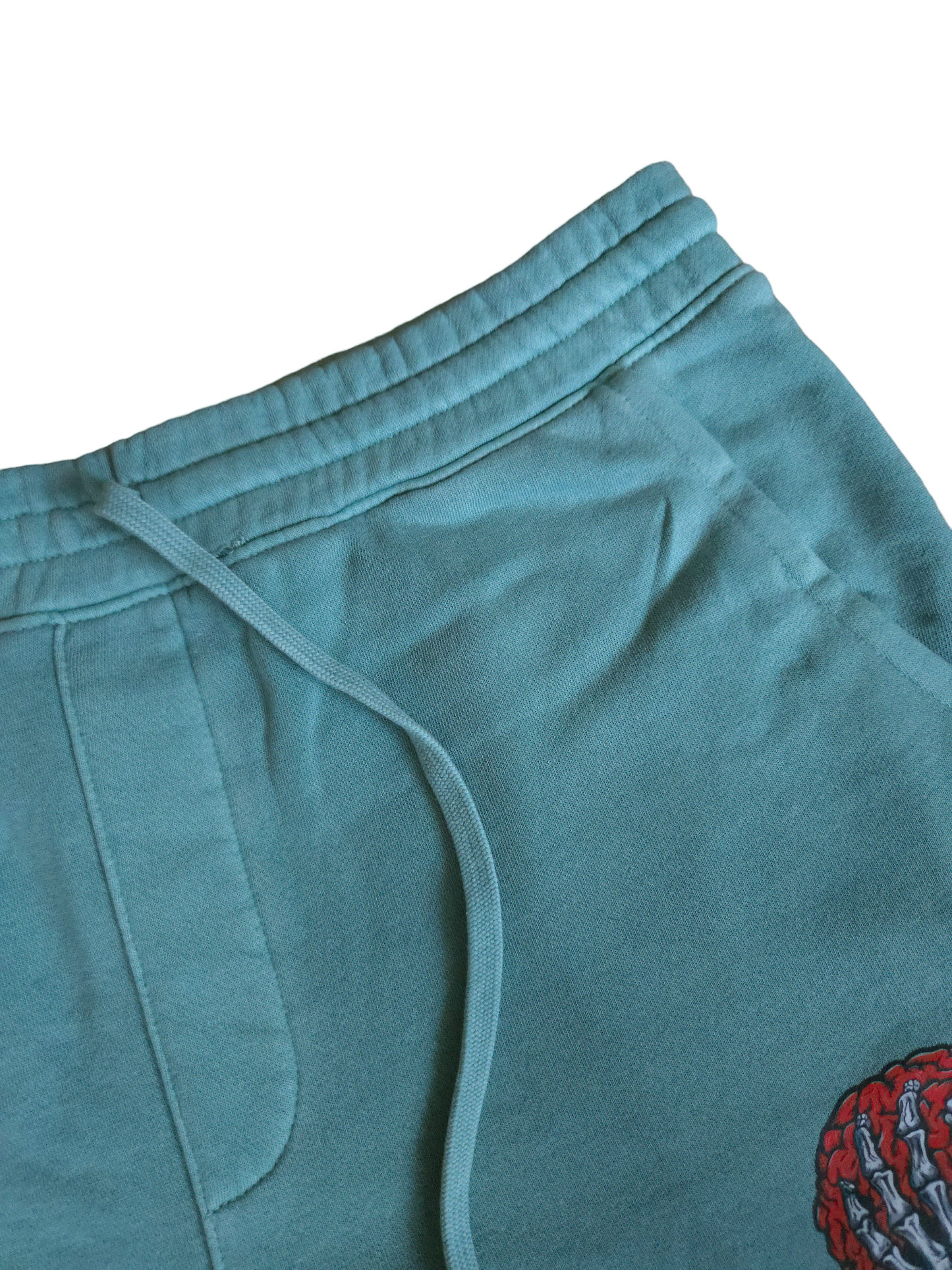 Stained Men - Brain Squeeze - Mint Fleece Shorts