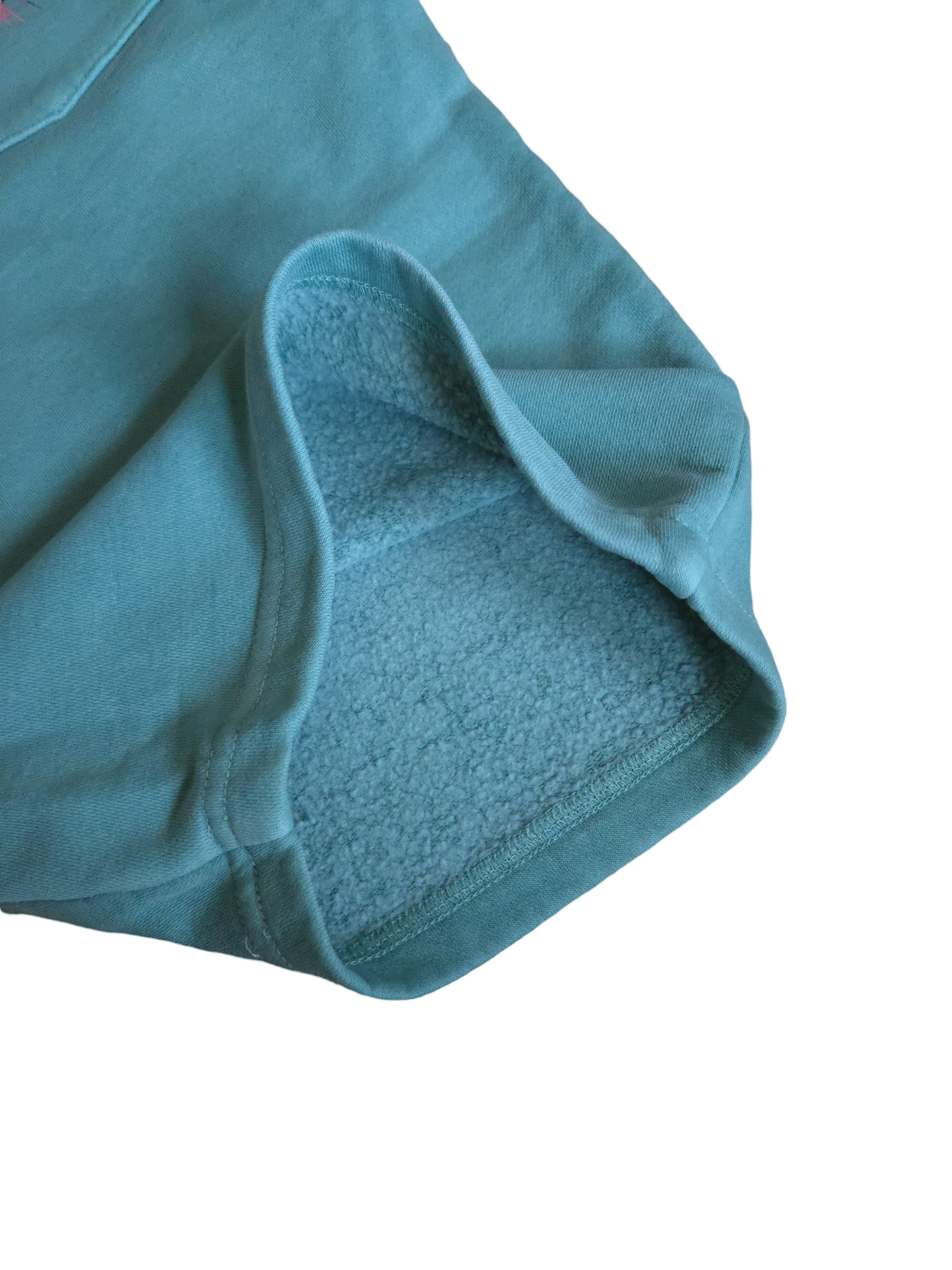 Stained Men - Brain Squeeze - Mint Fleece Shorts