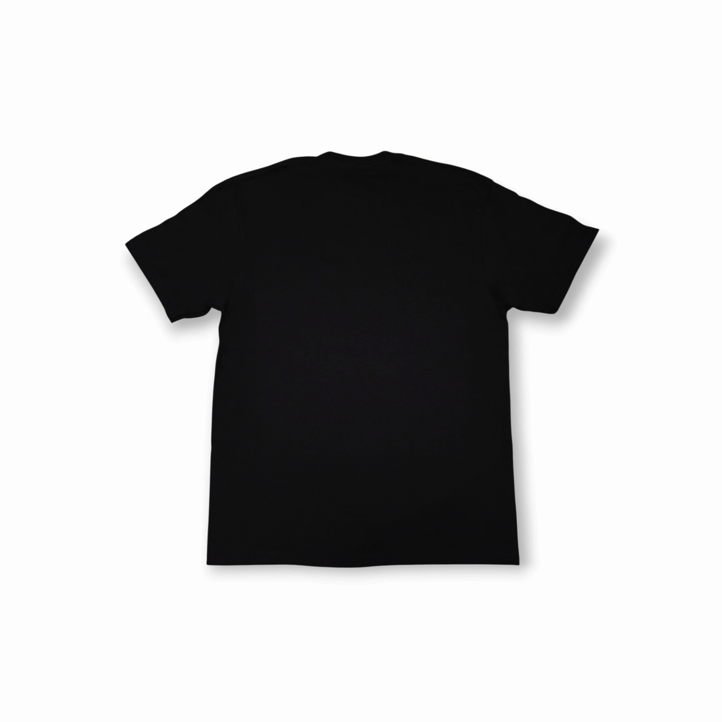 The Stained Brain "Mexico" Unisex T-Shirt