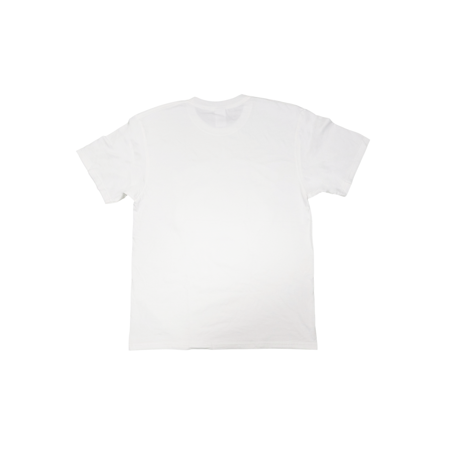 The Stained Brain "Japan" Unisex T-Shirt
