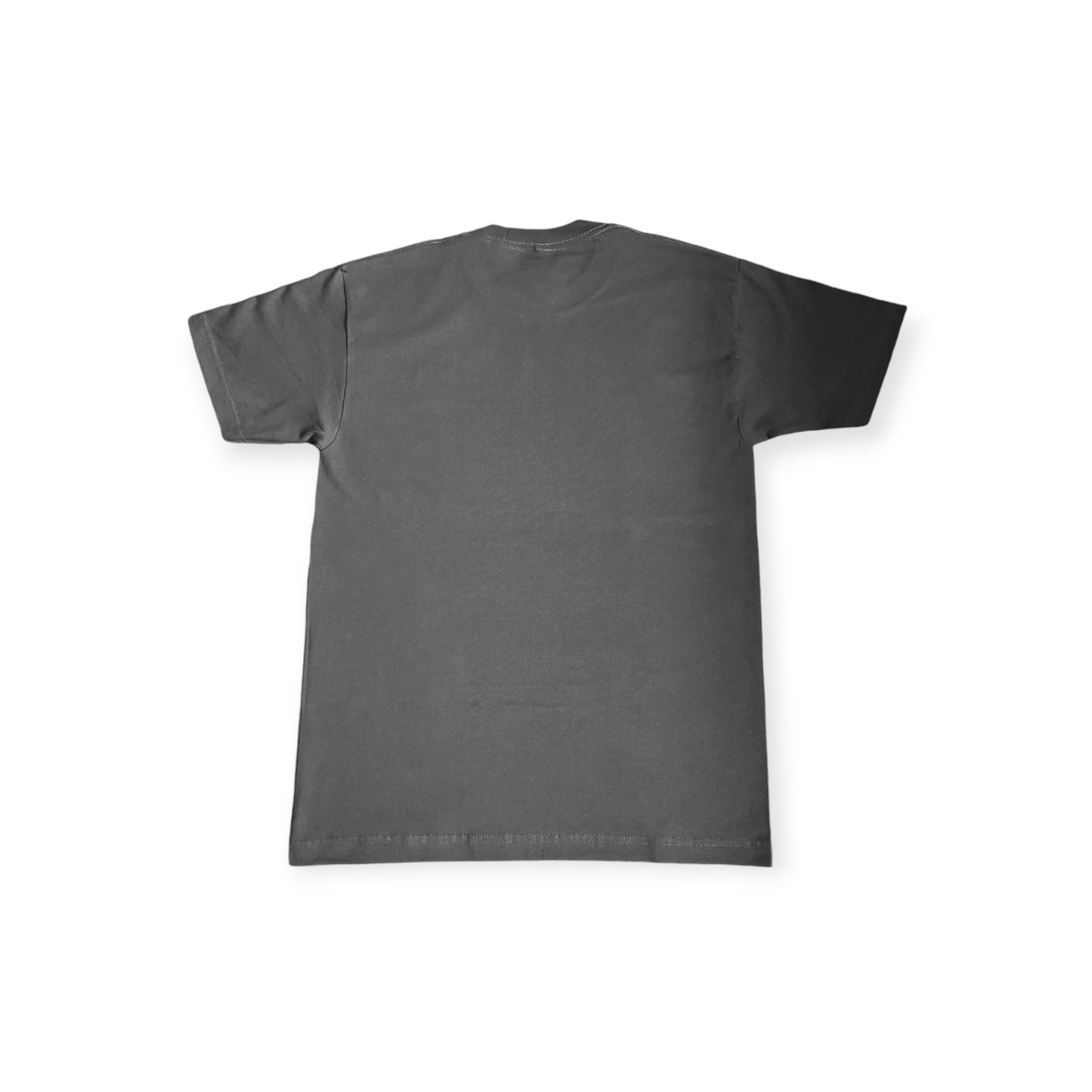 The Stained Brain - Raider Unisex T-Shirt